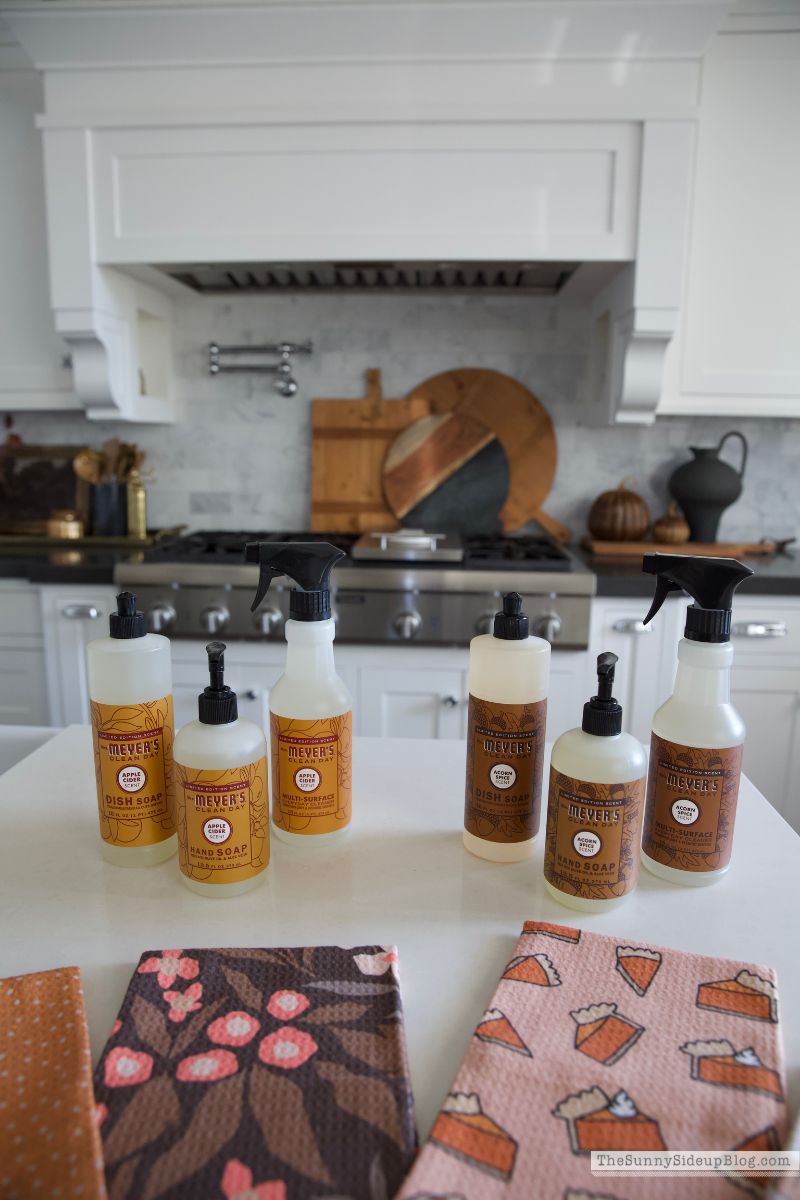 Fall Gifts (Sunny Lifestyles)