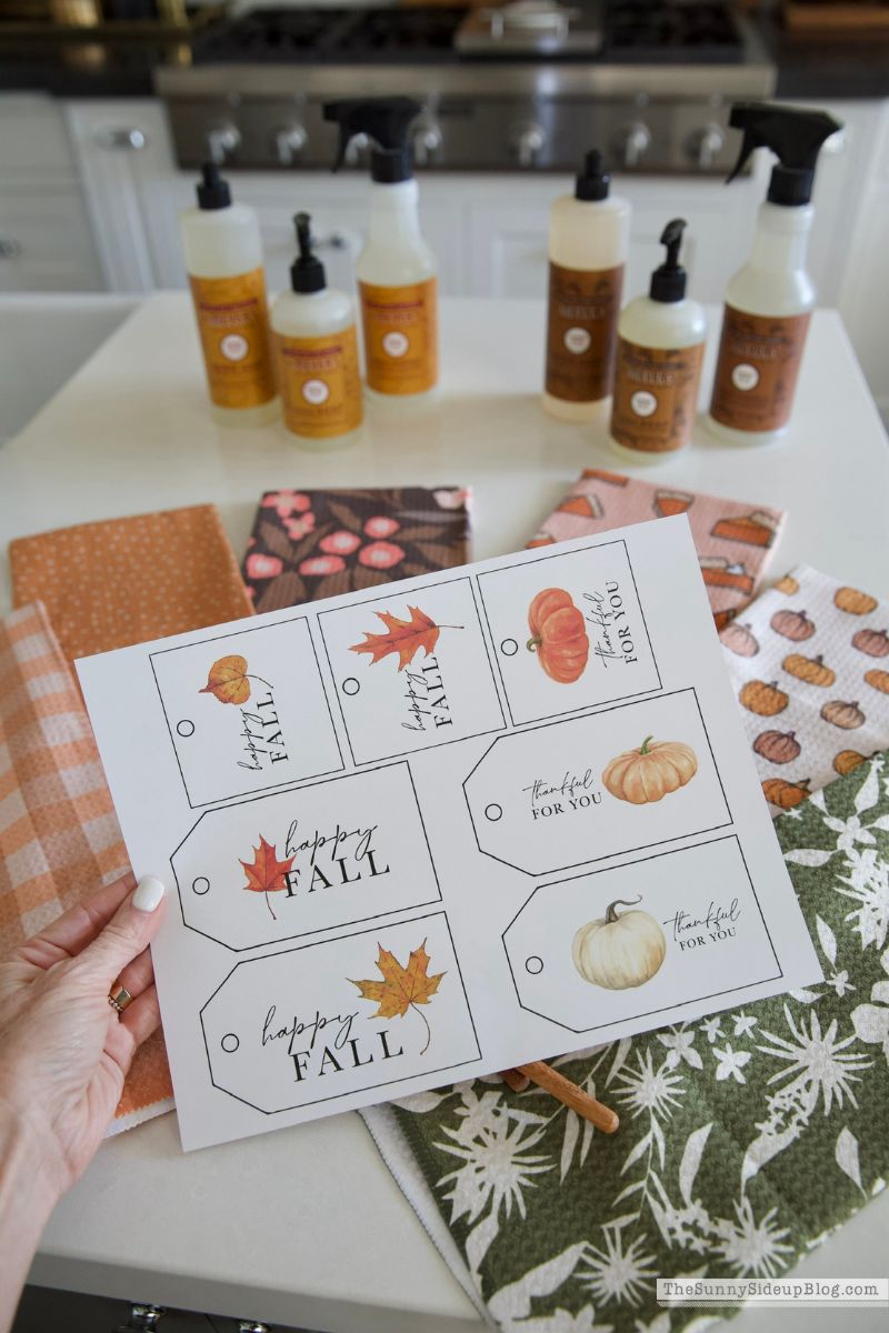 Fall Gifts (Sunny Lifestyles)