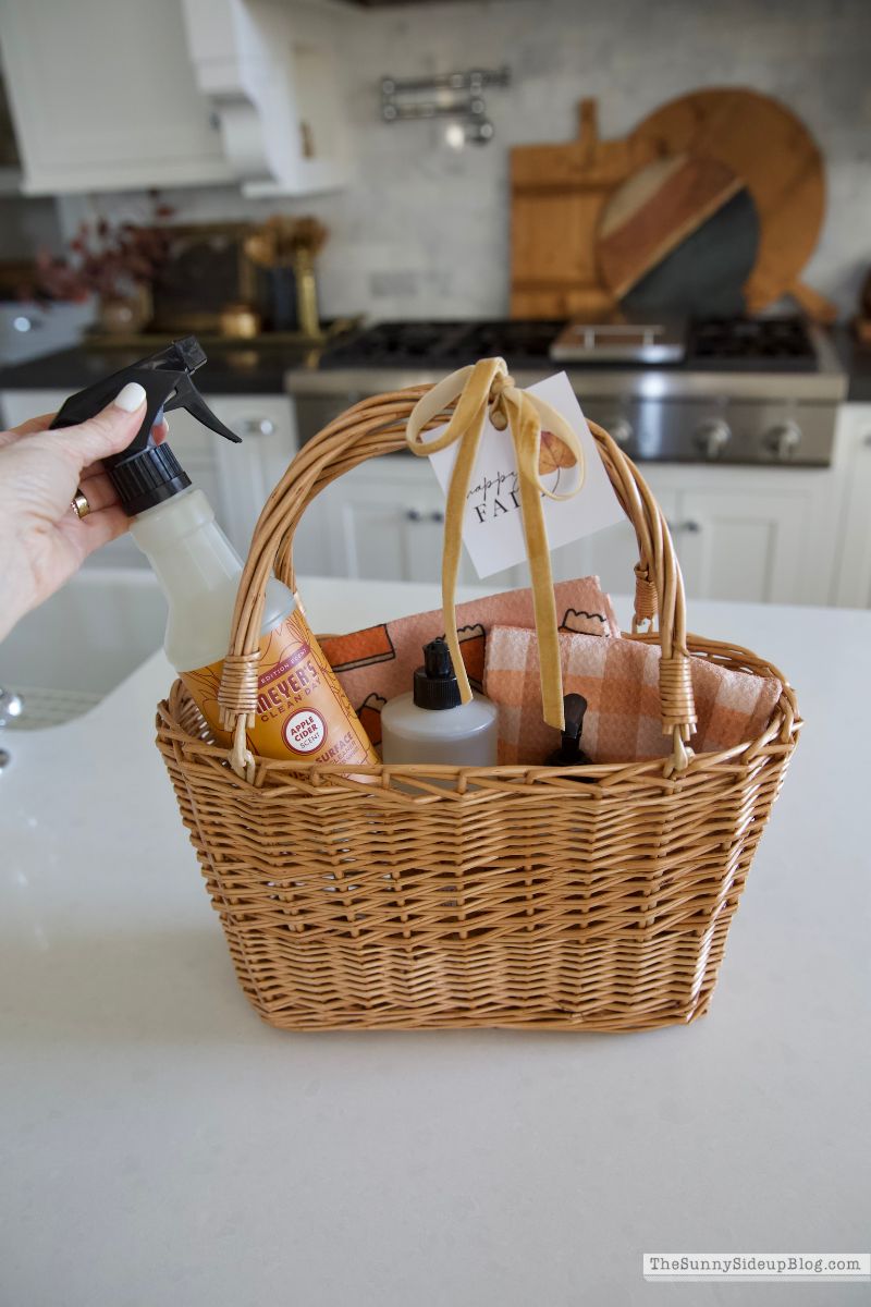 Fall Gifts (Sunny Lifestyles)