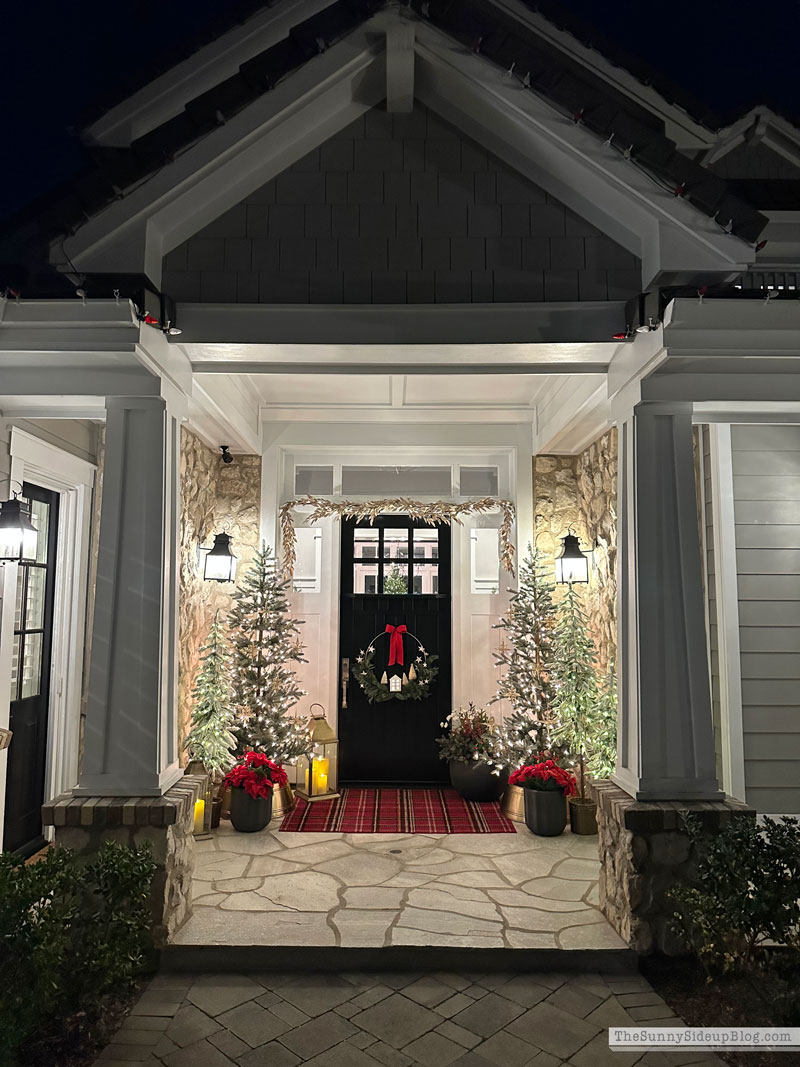 Flocked Holiday Trees (Sunny Lifestyles)