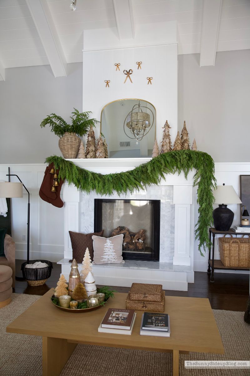 Christmas Family Room (Sunny Lifestyles)