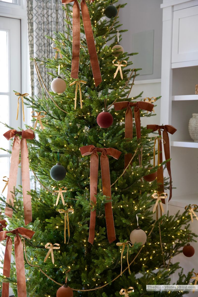 Christmas Family Room (Sunny Lifestyles)