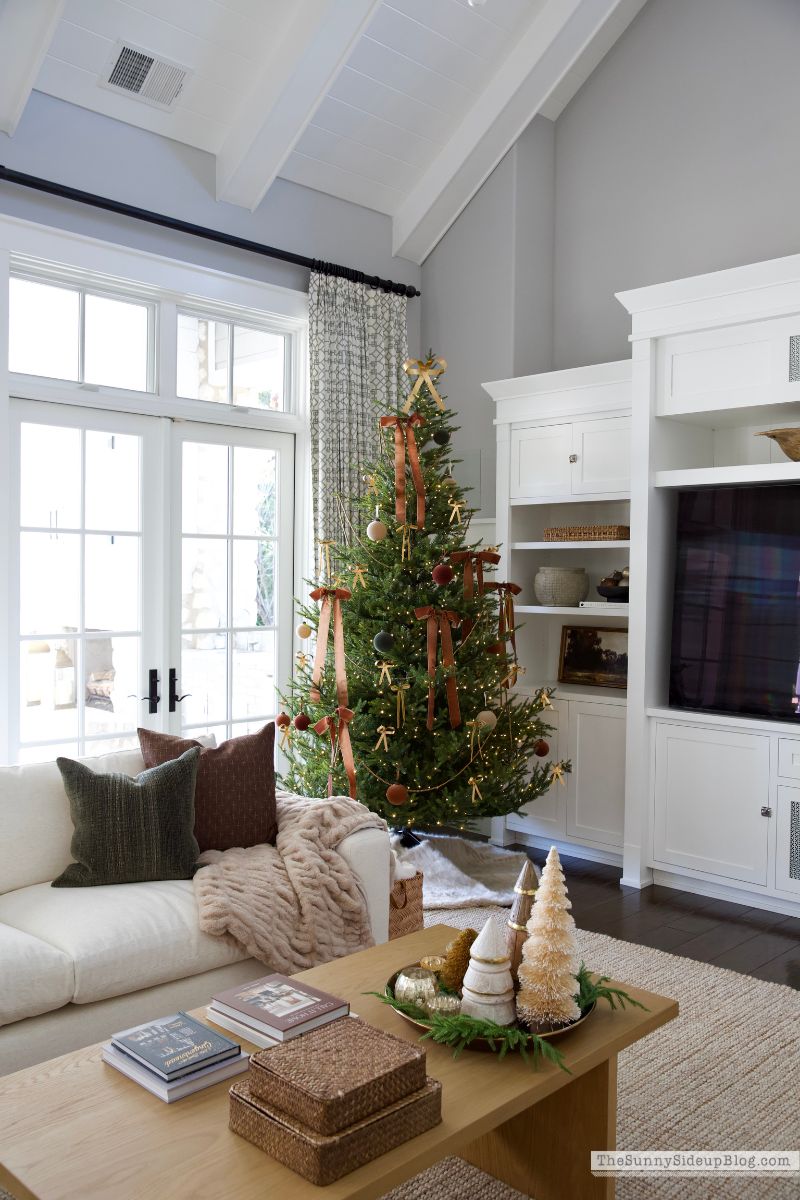 Christmas Family Room (Sunny Lifestyles)