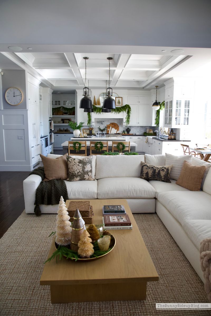 Christmas Family Room (Sunny Lifestyles)