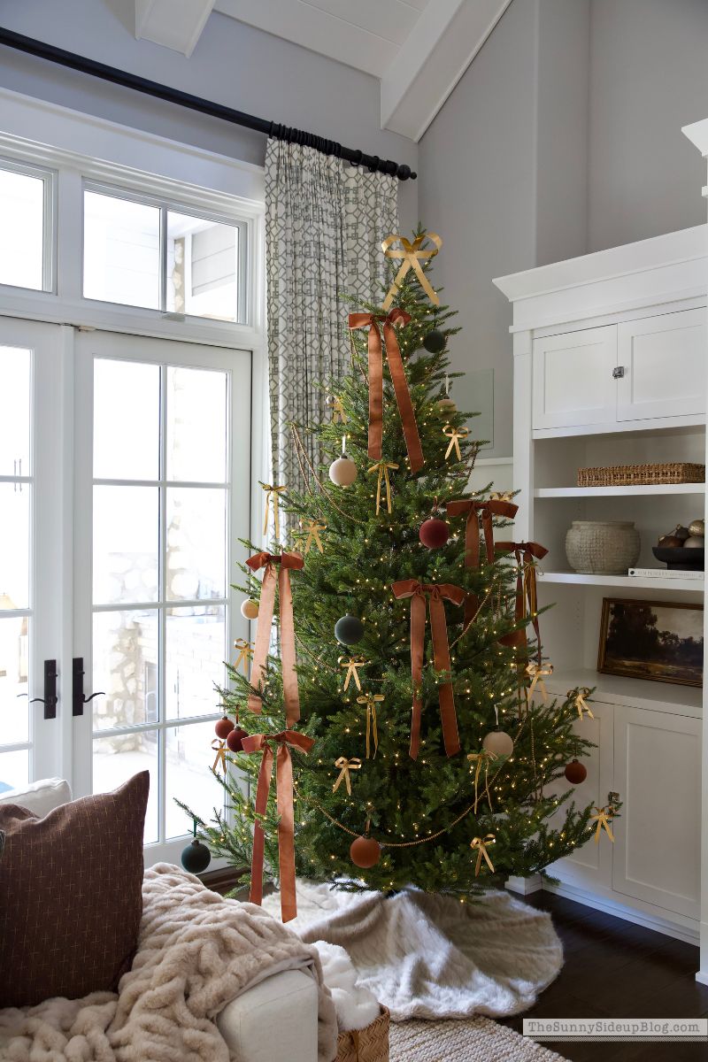 Christmas Family Room (Sunny Lifestyles)