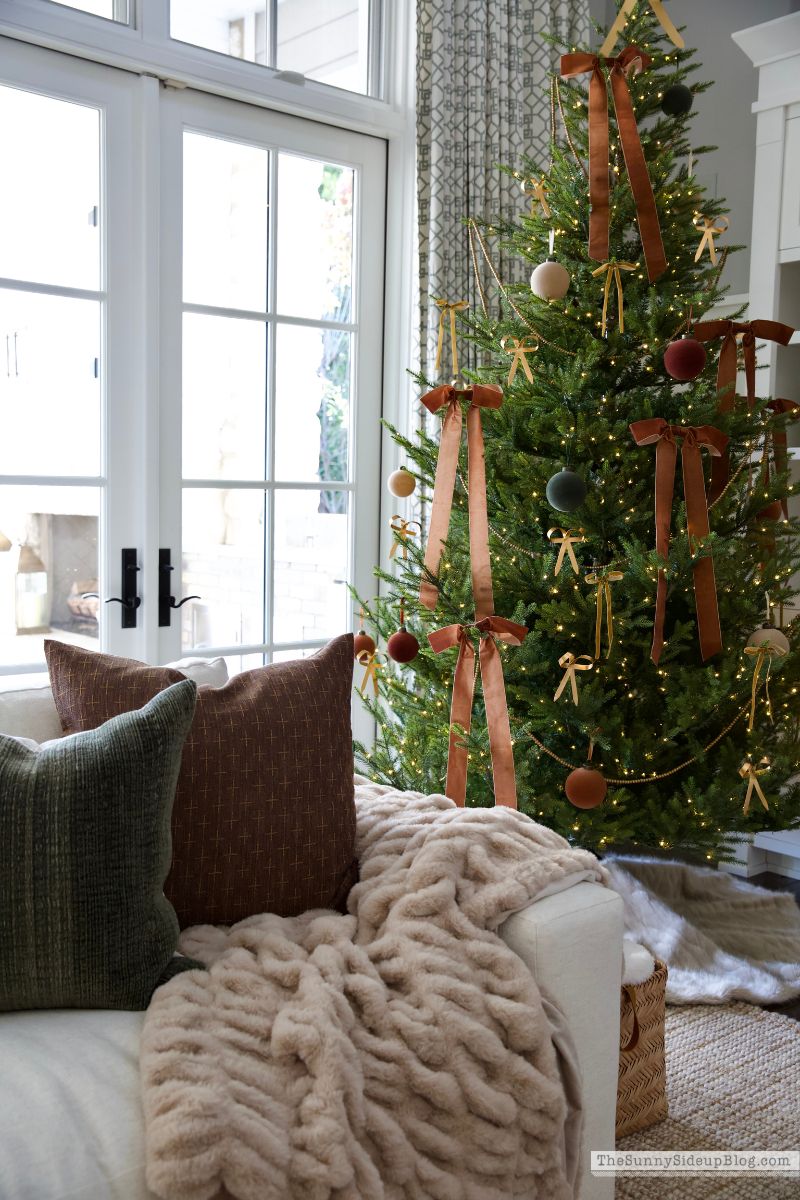 Christmas Family Room (Sunny Lifestyles)