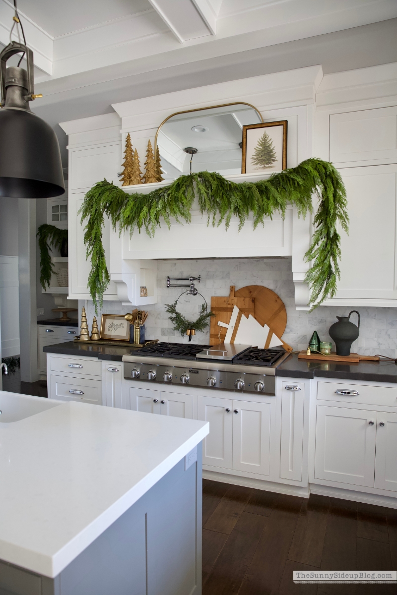Christmas Kitchen (Sunny Lifestyles)
