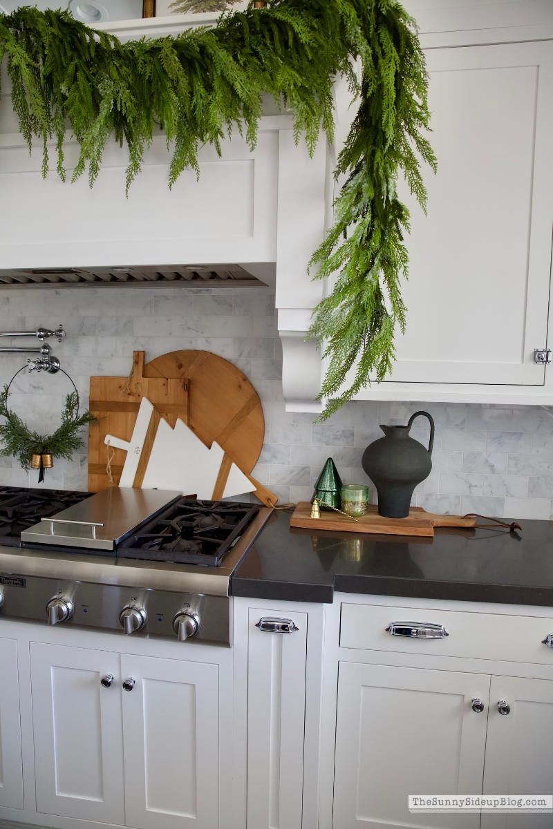Christmas Kitchen (Sunny Lifestyles)