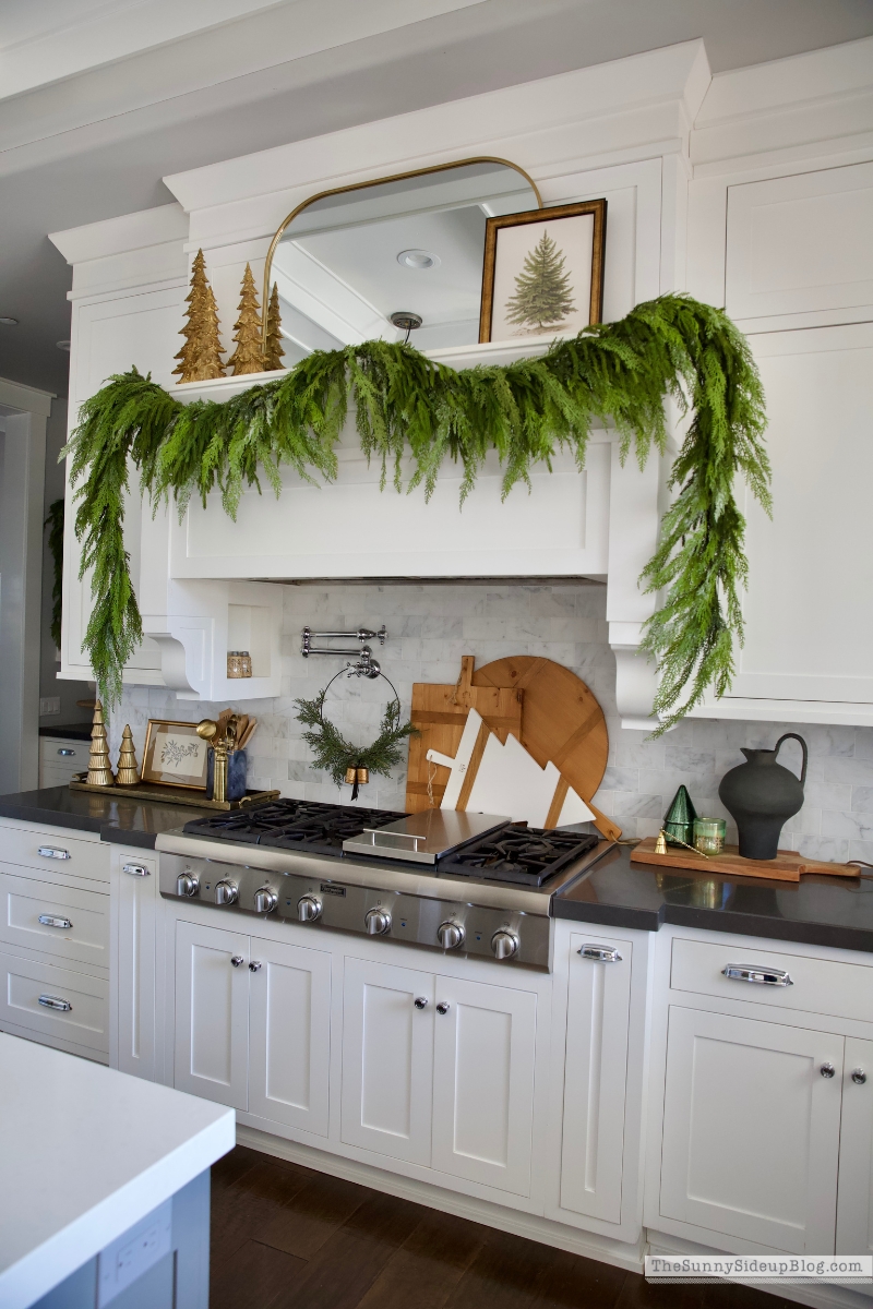 Christmas Kitchen (Sunny Lifestyles)