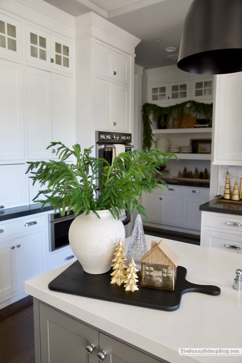 Christmas Kitchen (Sunny Lifestyles)