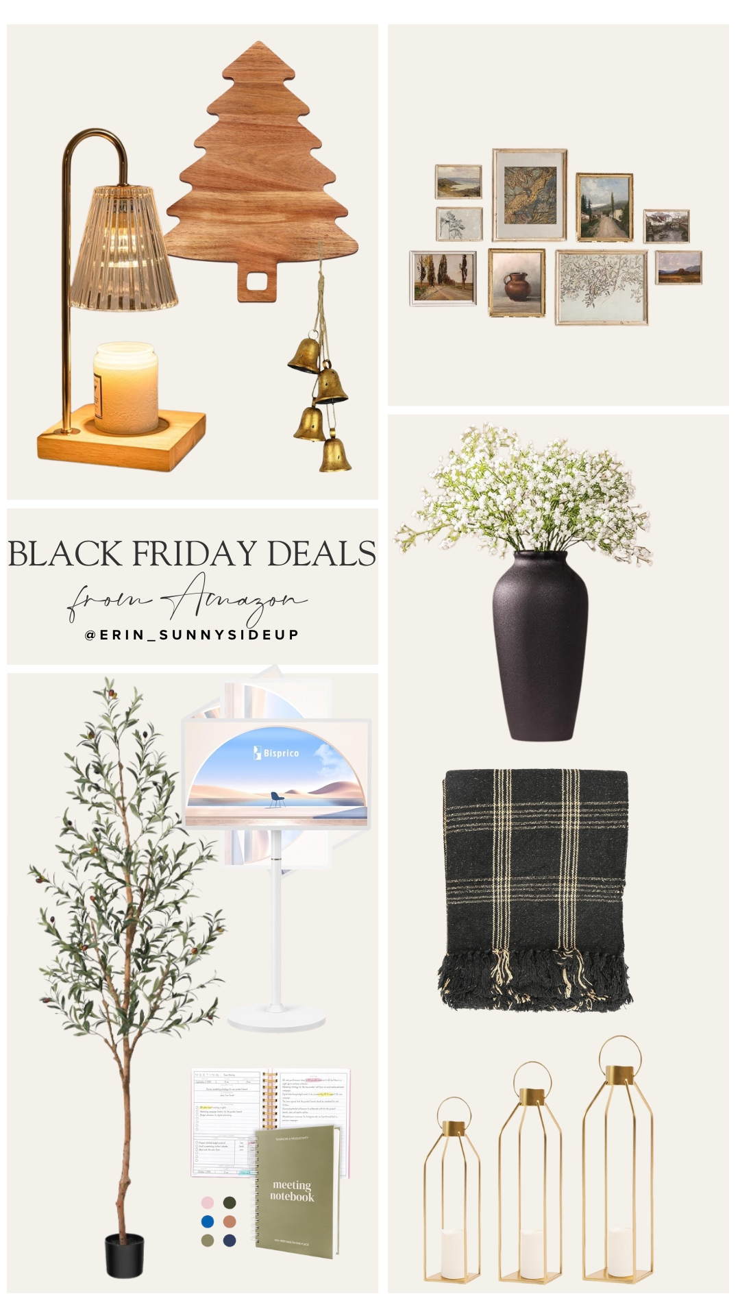 Black Friday Deals (Sunny Lifestyles Blog)