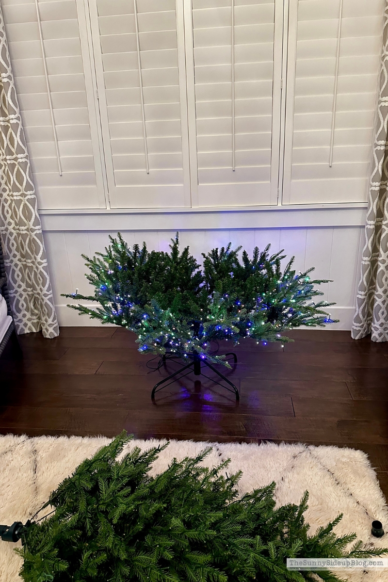 Home Depot Tree (Sunny Lifestyles)