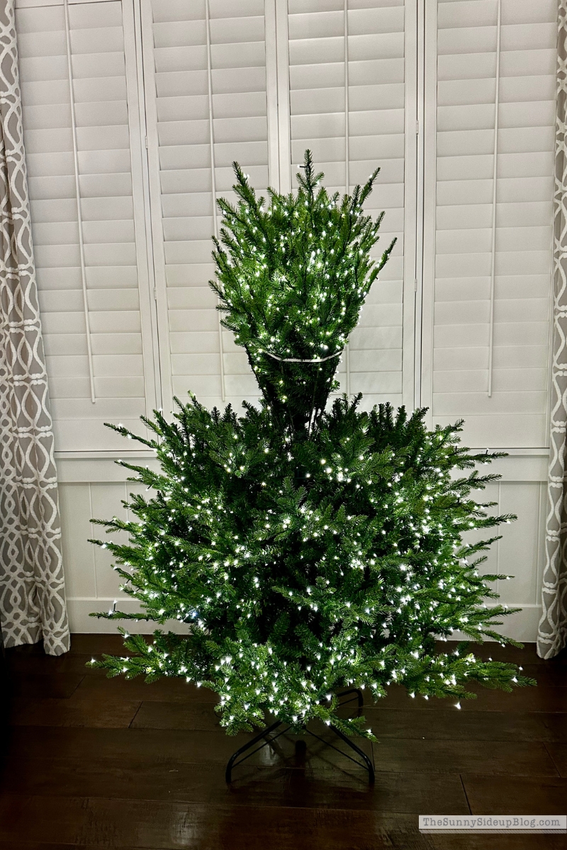 Home Depot Tree (Sunny Lifestyles)
