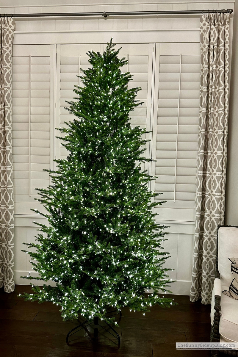 Home Depot Tree (Sunny Lifestyles)
