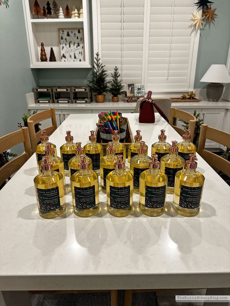 Holiday Party (Sunny Lifestyles)