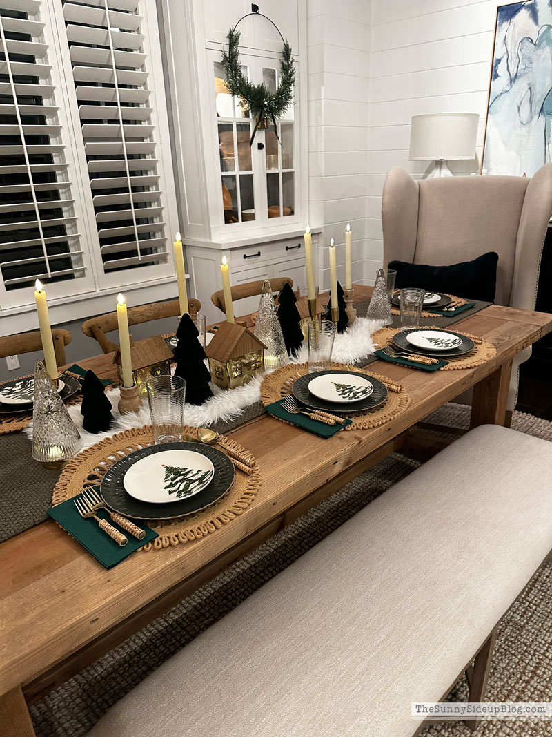 Holiday Party (Sunny Lifestyles)