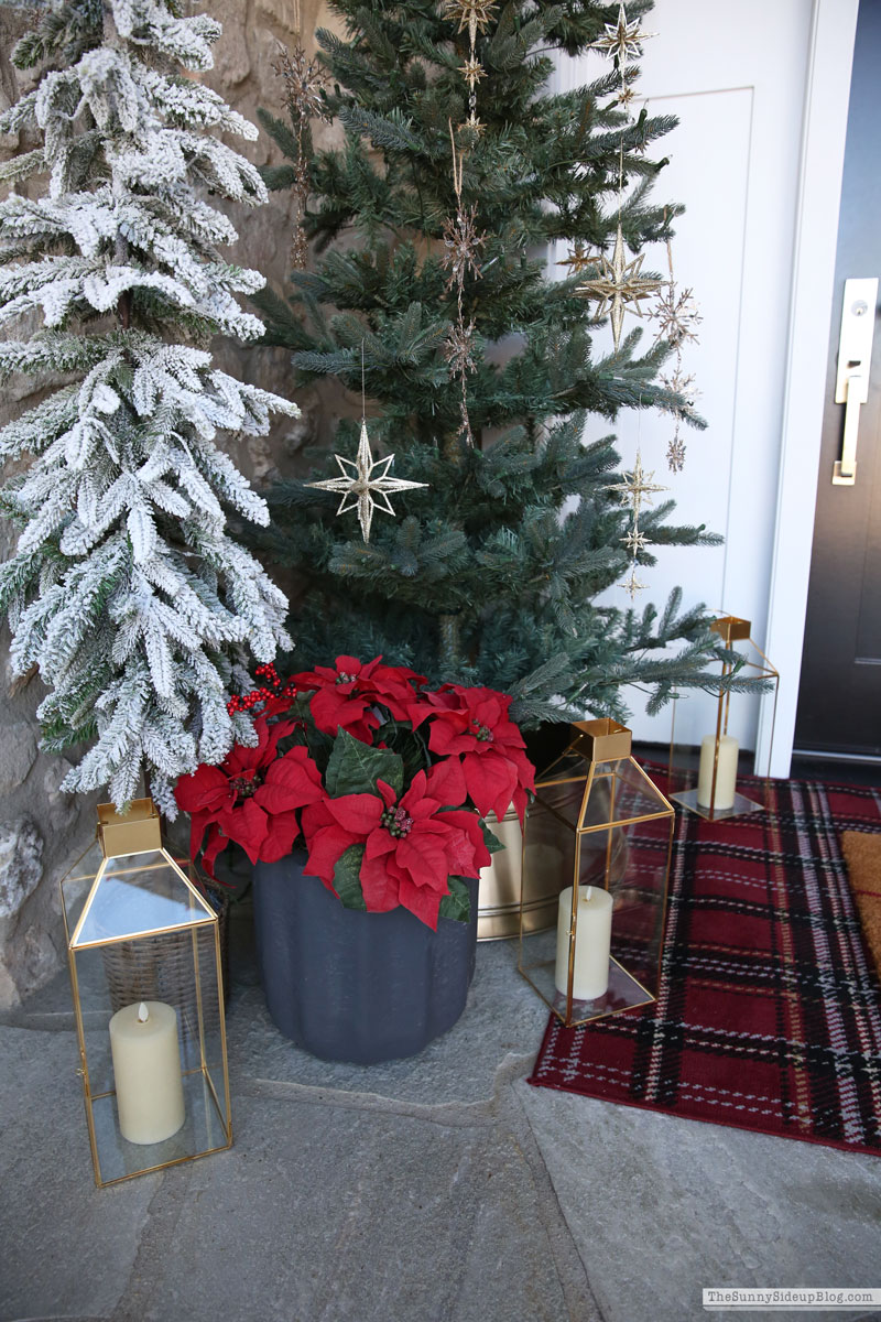 Christmas Porch (Sunny Lifestyles)