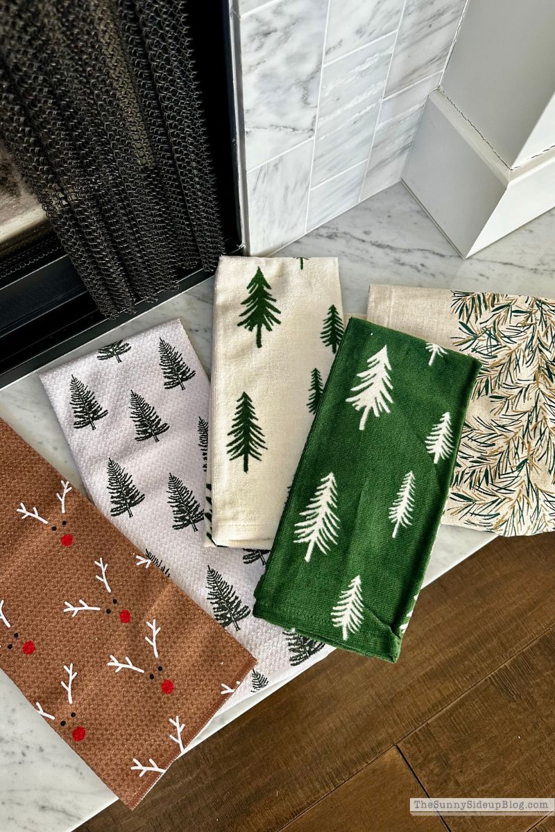 Holiday Favorites (Sunny Lifestyles)