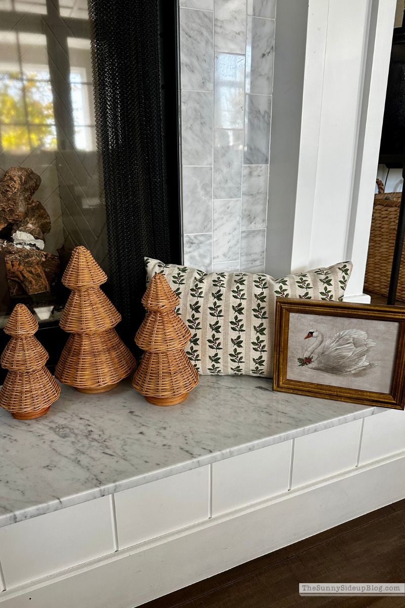 Holiday Favorites (Sunny Lifestyles)