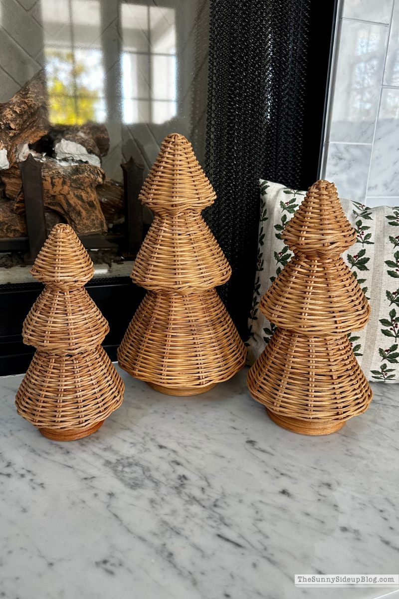 Holiday Favorites (Sunny Lifestyles)