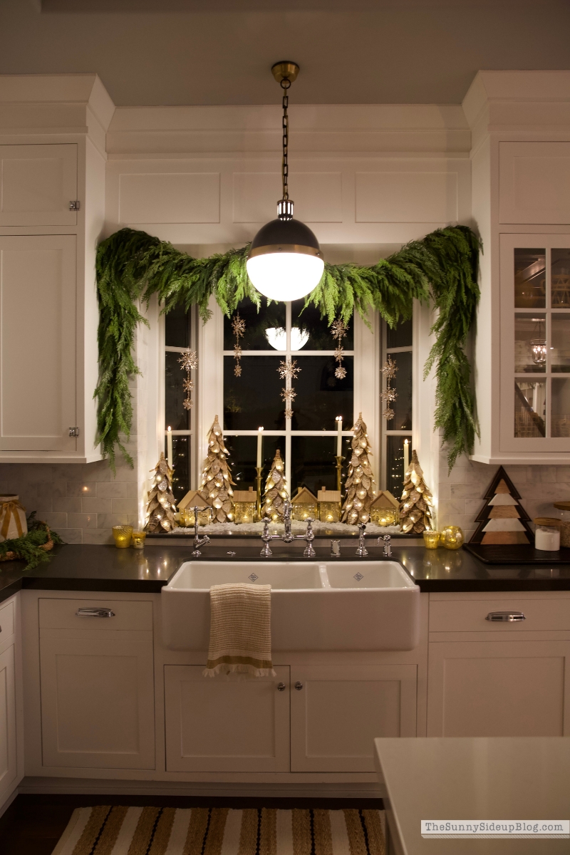Night Kitchen Window (Sunny Lifestyles)