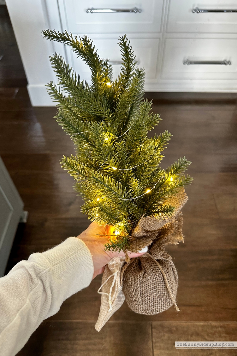 Gift Ideas (Sunny Lifestyles)