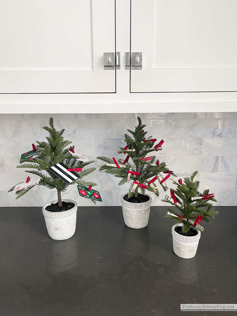Gift Ideas (Sunny Lifestyles)