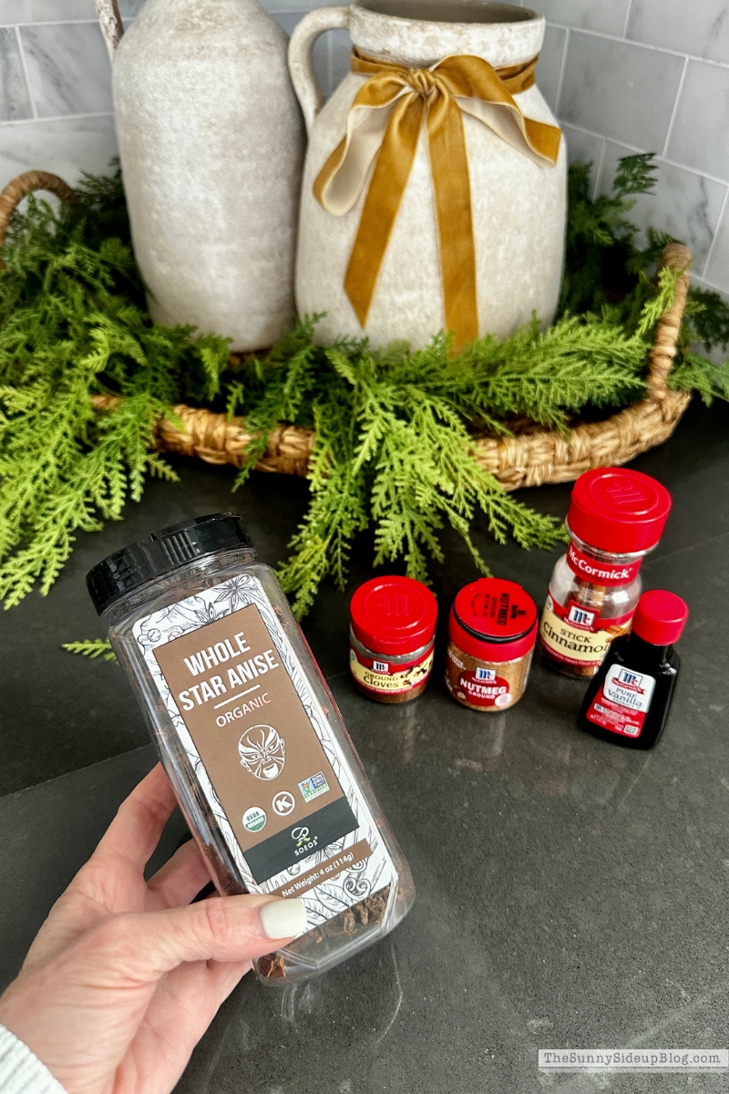 Christmas Activities (Sunny Lifestyles)