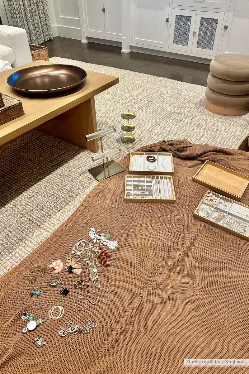 Organized Jewelry (Sunny Lifestyles)