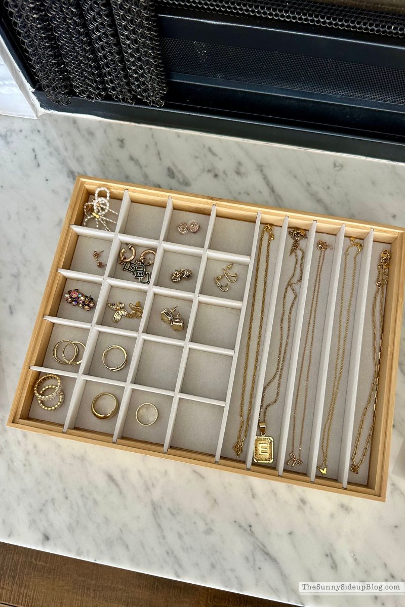 Organized Jewelry (Sunny Lifestyles)