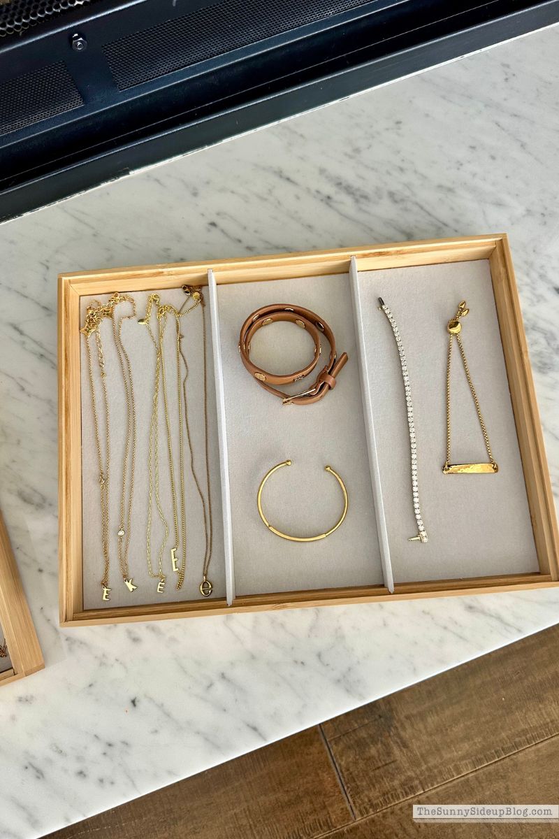 Organized Jewelry (Sunny Lifestyles)