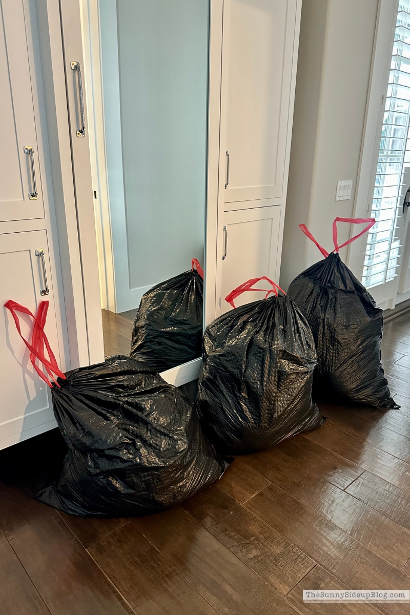 Organizing (Sunny Lifestyles)
