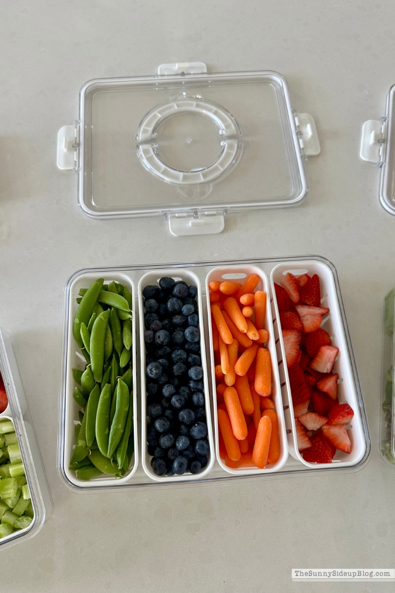 Fridge Favorites (Sunny Lifestyles)