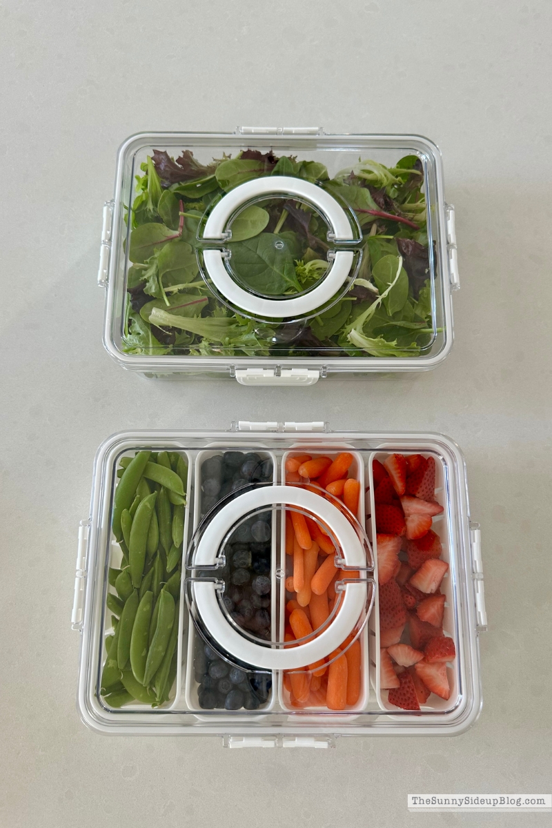 Fridge Favorites (Sunny Lifestyles)