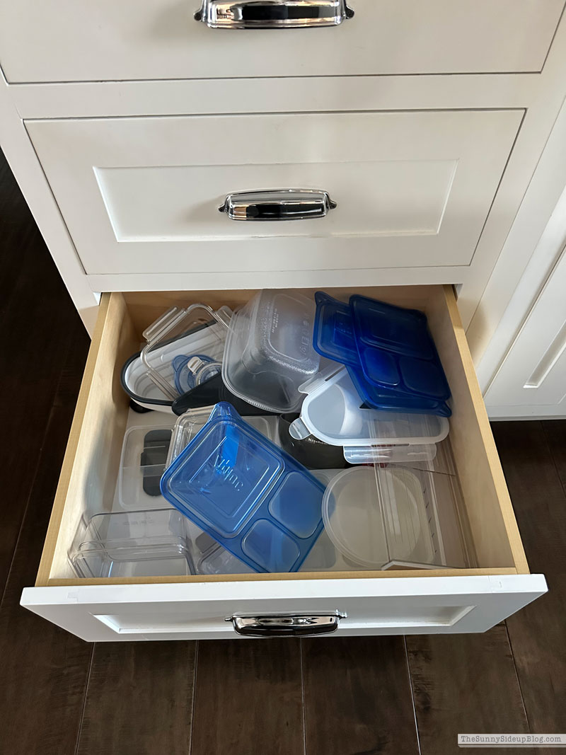 Organized Container Drawer (Sunny Lifestyles)