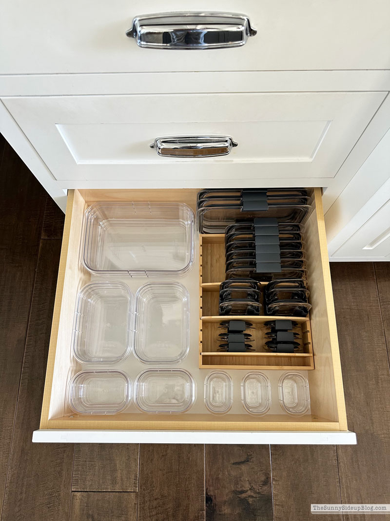 Organized Container Drawer (Sunny Lifestyles)