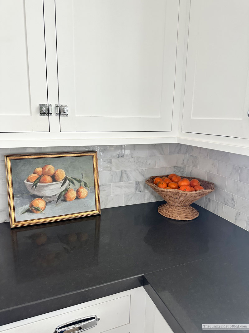 Fruit Bowls (Sunny Lifestyles)