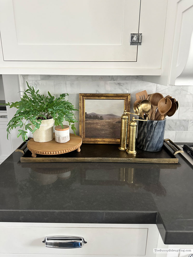 Home Updates (Sunny Lifestyles)