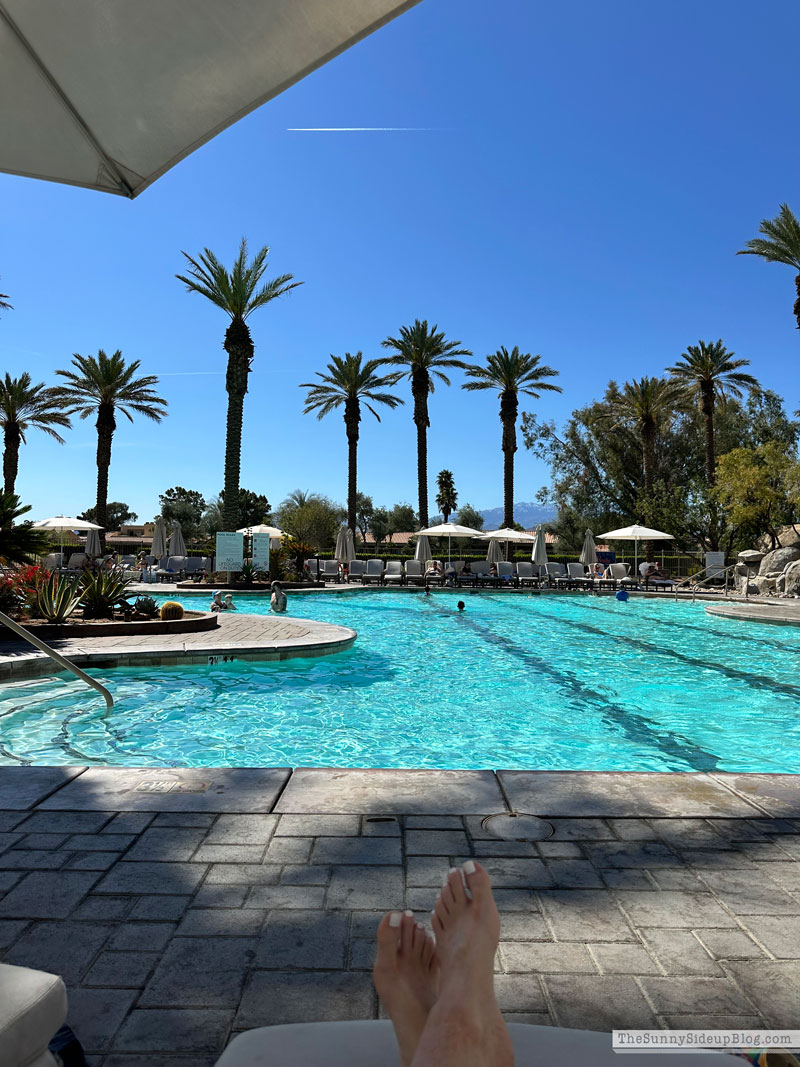 Palm Springs (Sunny Lifestyles)