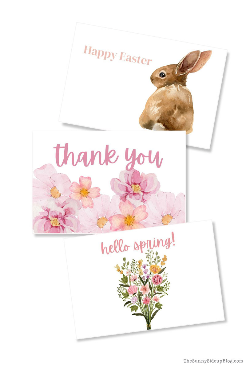 spring cards (Sunny Lifestyles)