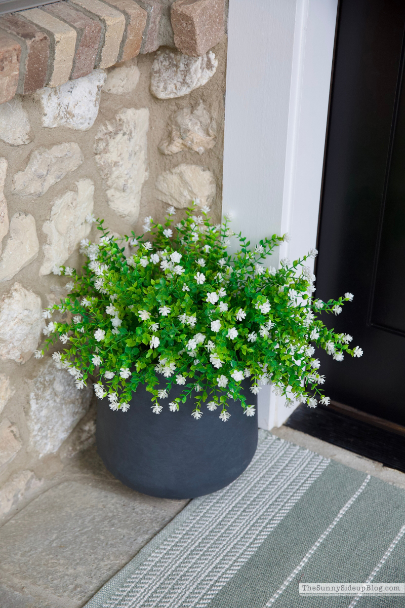 Spring Updates (Sunny Lifestyles)