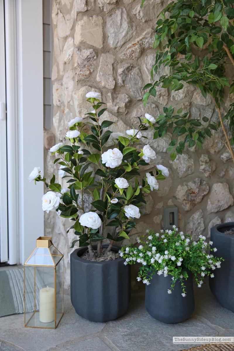 Spring Porch (Sunny Lifestyles)