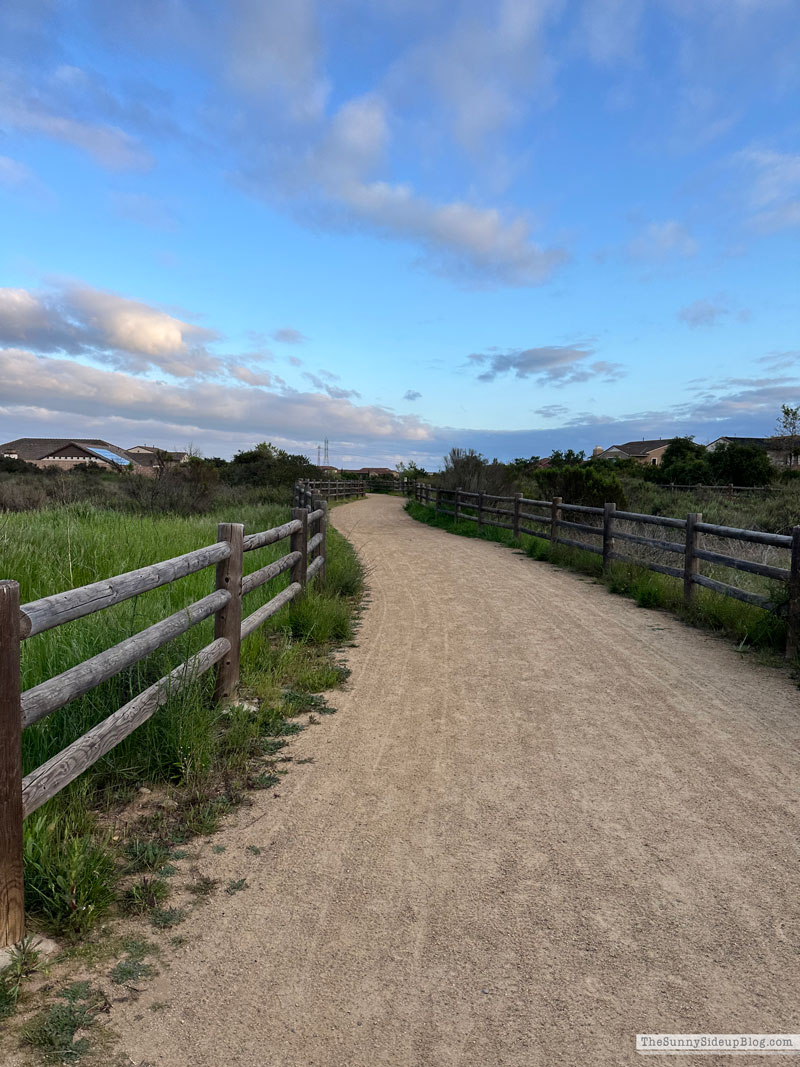walk (Sunny Lifestyles)