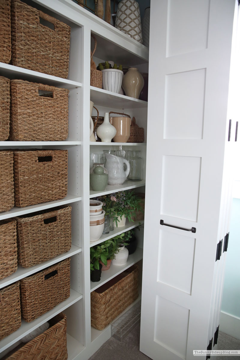 Organized Closet (Sunny Lifestyles)