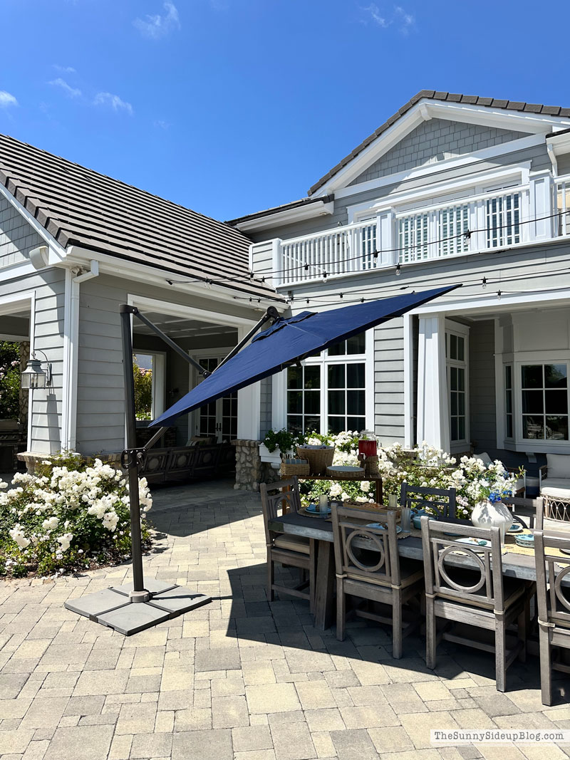 Summer Hosting (Sunny Lifestyles)