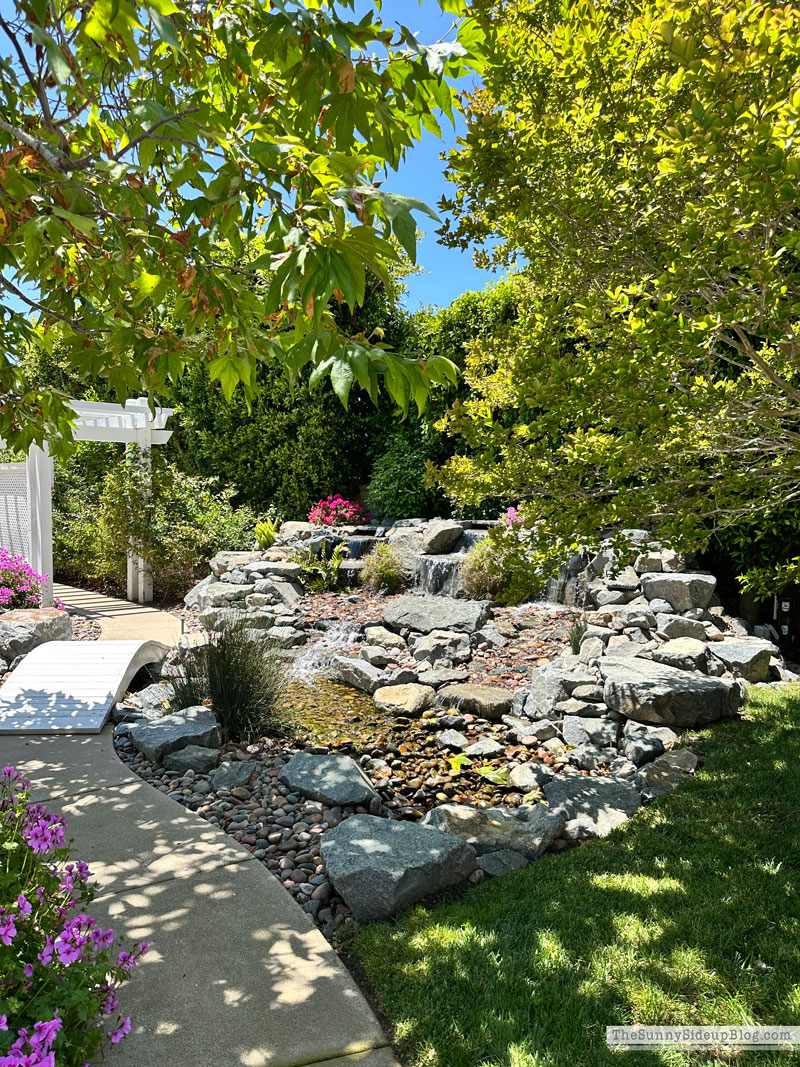 Backyard (Sunny Lifestyles)