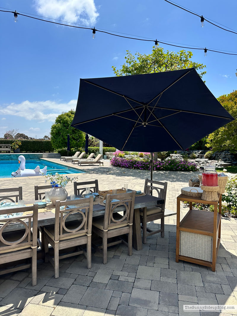 Summer Hosting (Sunny Lifestyles)