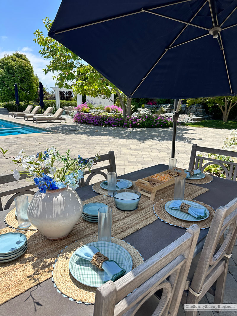 Summer Hosting (Sunny Lifestyles)