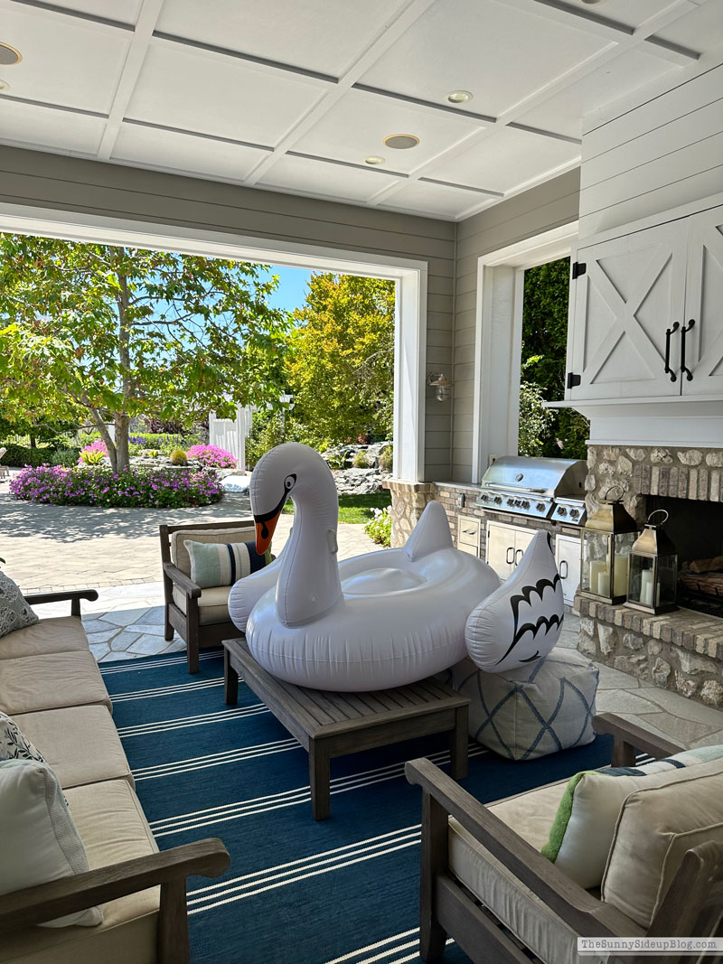 Outdoor Pillows (Sunny Lifestyles)