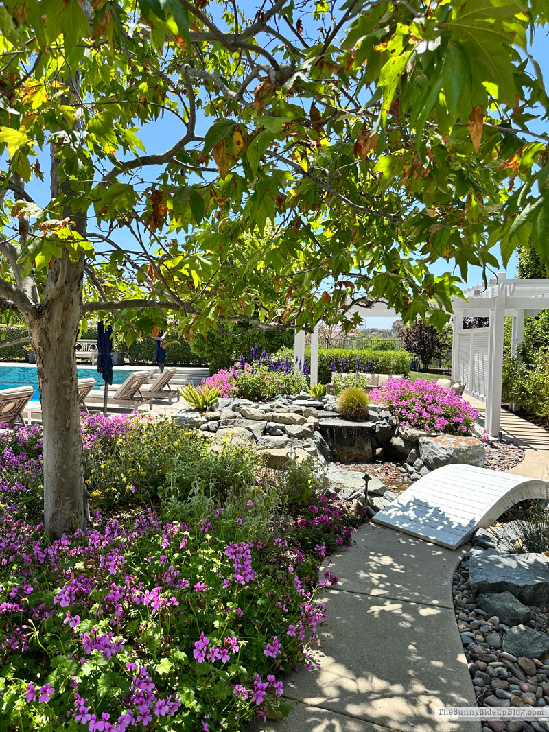 Backyard (Sunny Lifestyles)